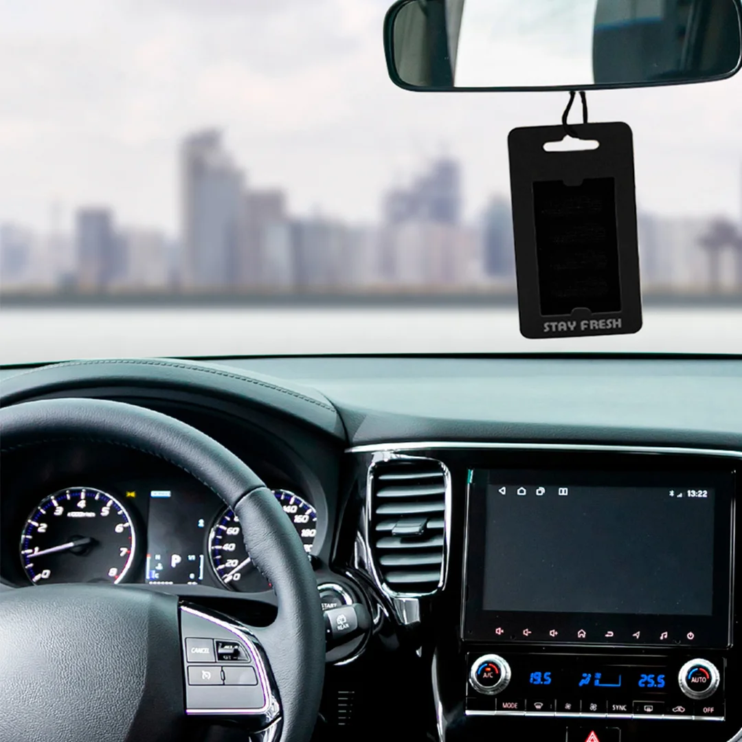 3- LOCAIS DE LIMPEZA Daxxen® TiraCheiros Carros